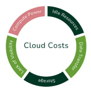 The infographic depicting the main expenses that drive cloud cost, that can be analysed to develop cloud cost optimisation strategies.