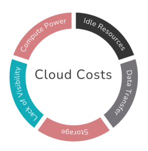 The infographic depicting the main expenses that drive cloud cost, that can be analysed to develop cloud cost optimization strategies.